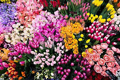 《严阵以待》全平台销量突破1300万 主机版售出超300万份